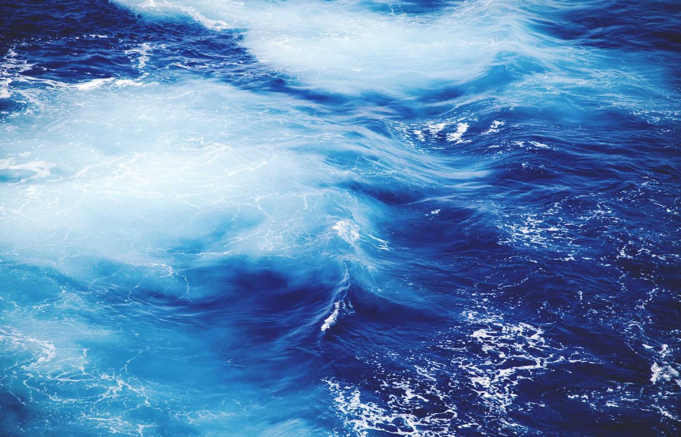 Portrait of Dr. Ellie Sattler